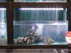 -将相和·海鲜蒸饺大连菜