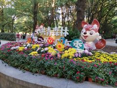 -上海共青森林公园