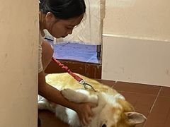 -肥朵食堂(带梦胡同店)