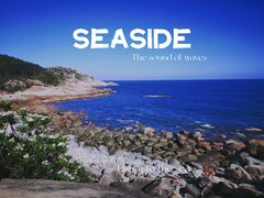 -广东惠东海龟国家级自然保护区