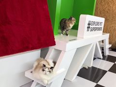 -天河领展广场