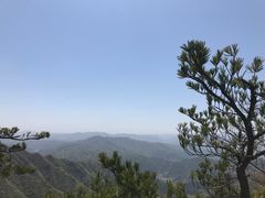 -王顺山国家森林公园