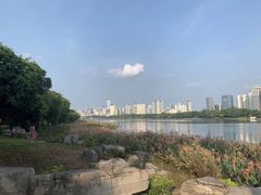 -南宁南湖公园