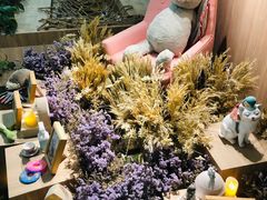 -藦茜花园宠物主题亲子互动体验馆(国顺东路店)