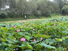 -华夏良子·足道SPA艾灸(王府井店)