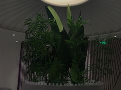 -LANN I 蘭 SPA(陆家嘴中心店)