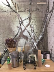 -Hair Co.一间沙龙