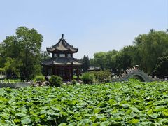 -莲池书院博物馆