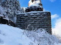 -武陵山森林公园