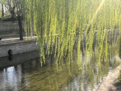 -元大都城垣遗址公园