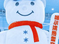 -哈尔滨热雪奇迹