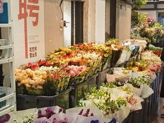 -溪岸路花鸟市场