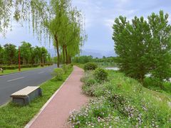 -洨河生态公园