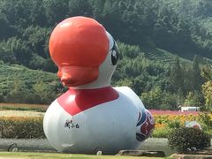-径山花海