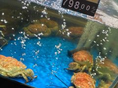 -蟹之国·精品蟹料理(极地店)