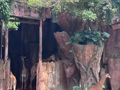 -长鹿旅游休博园