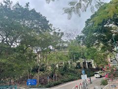 -香港大学