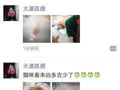 盛京一禾-盛京一禾