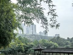 -龙头寺公园