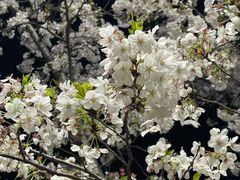 -龙美术馆西岸馆-停车场