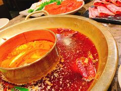 -Xiao Long Kan Hotpot Sydney 小龙坎老火锅