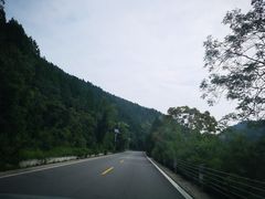 -望湖烤鱼