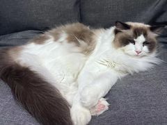 -零纪元VR体验馆·桌游(黄浦店)