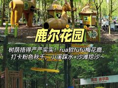 -老鼎万春卤菜(五代传承创始老店)