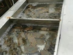 -渔家火锅·海鲜自助餐·演艺(亚龙湾天域酒店)