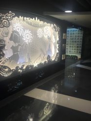 点击看大图 -光SPA科技美肤