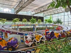 -南宫五洲植物乐园