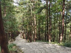 -罗田天堂寨风景区