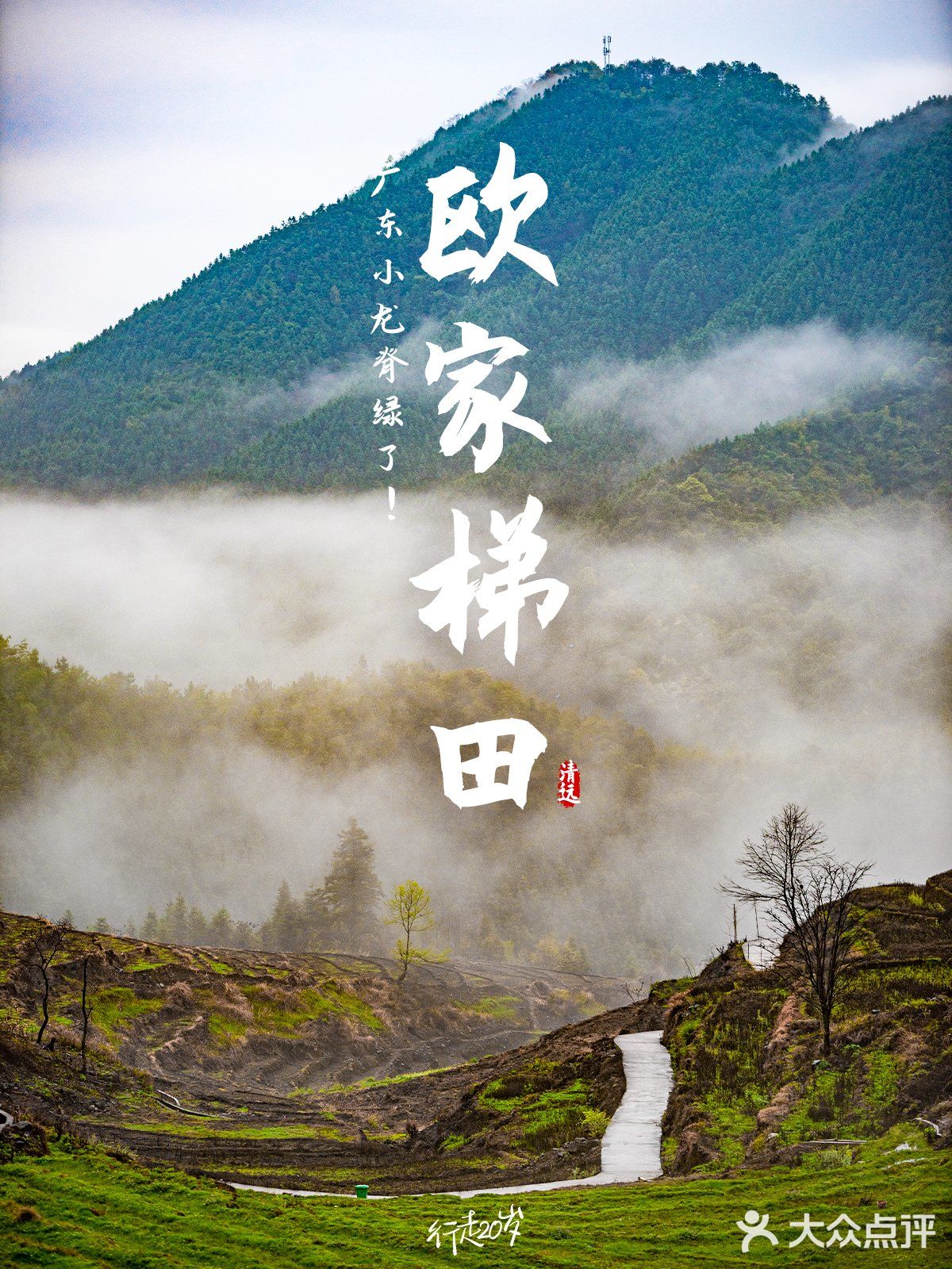 欧家梯田|清明假期好去处，特色拍照路线