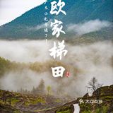 欧家梯田|清明假期好去处，特色拍照路线