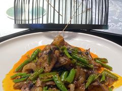 土猪回锅肉-松云泽