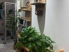 -0+1·手作面包(新北店)