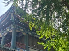 -国家图书馆·古籍馆