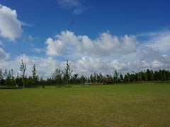 -上海长兴岛郊野公园