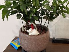 -影居starhoho·泳池别墅轰趴馆·天璇