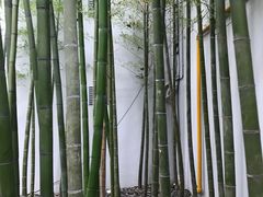 -穹六人间 people 6(岳阳路店)