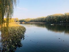 -圆明园停车场