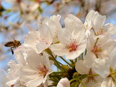 -复旦大学本部-食堂