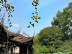 -三苏祠