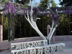 -长沙黑麋峰国家森林公园