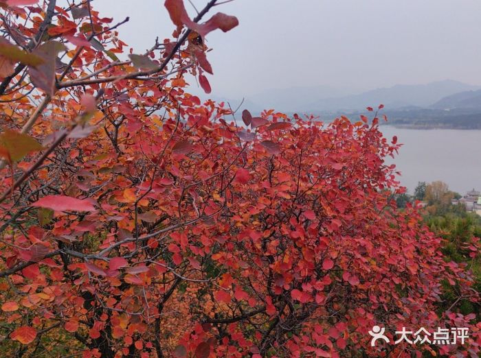 十三陵水库图片
