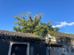 -绍兴鲁迅故里·沈园景区