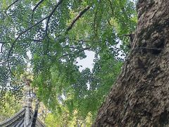 -无锡惠山寺