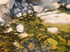 -雅鲁激流探险漂流