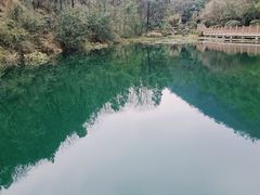 -桃花岭景区