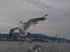 -刘公岛景区